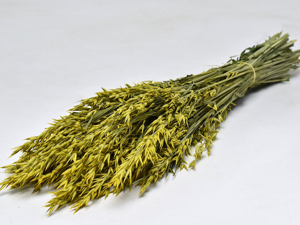 Bouquet Avoine Jaune 70cm