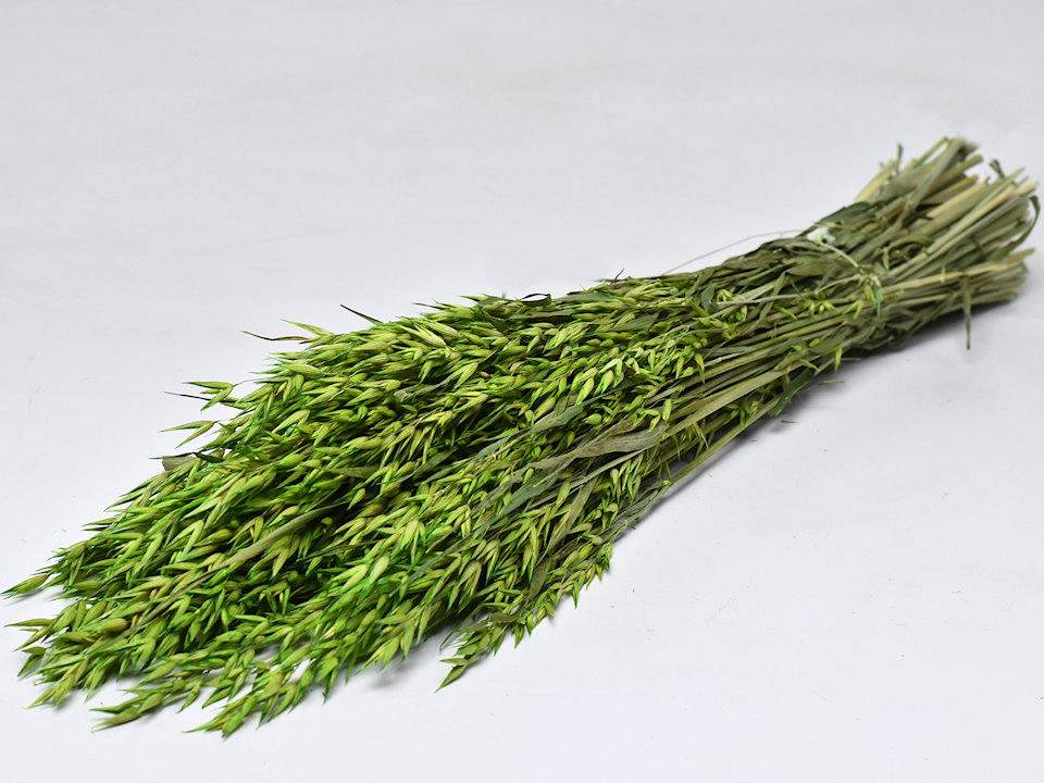 Bouquet Avoine Vert 70cm