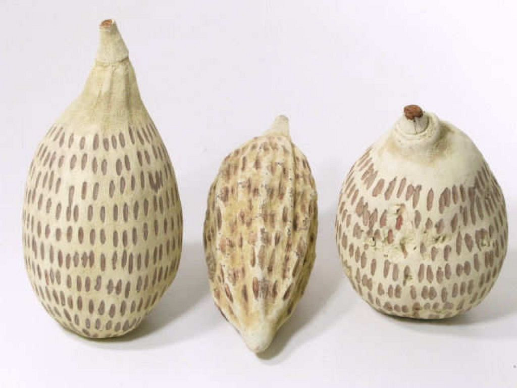 Baobab Drop creme 20-30cm