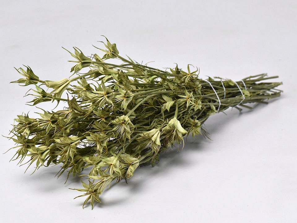 Bouquet Nigella Orientalis 55cm