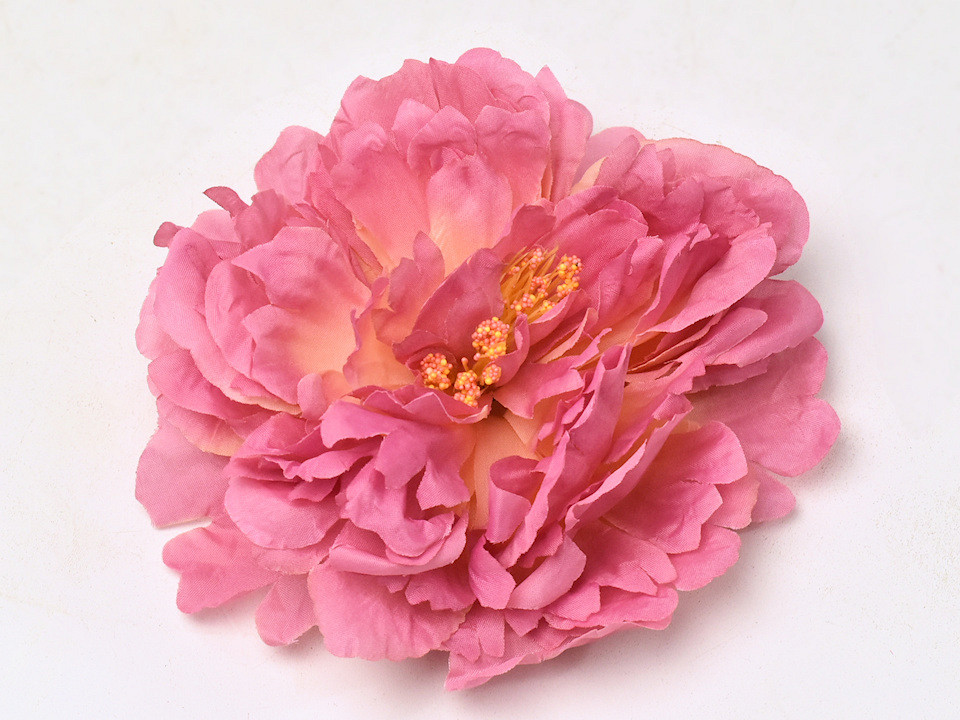 Pfingstrose D18cm Altrosa