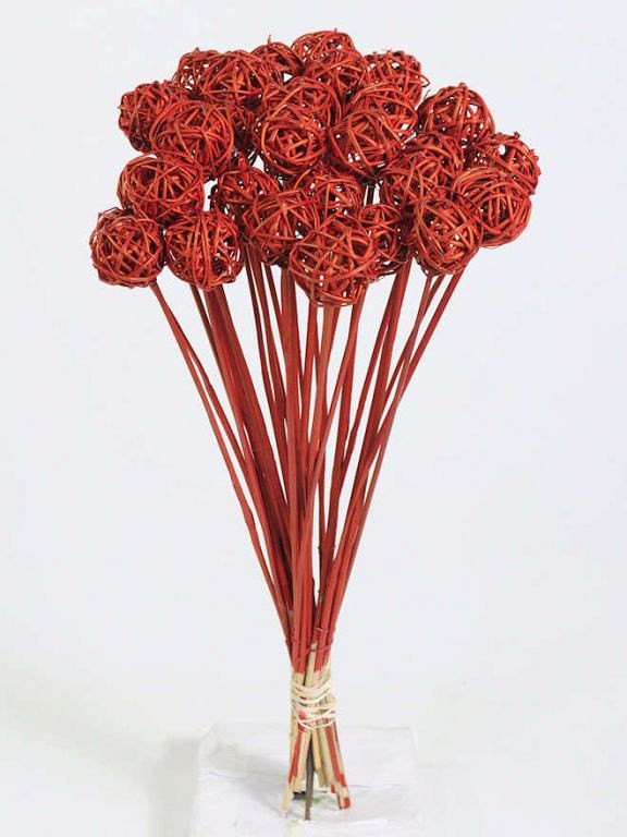 Brunch Ball on 50cm stem red
