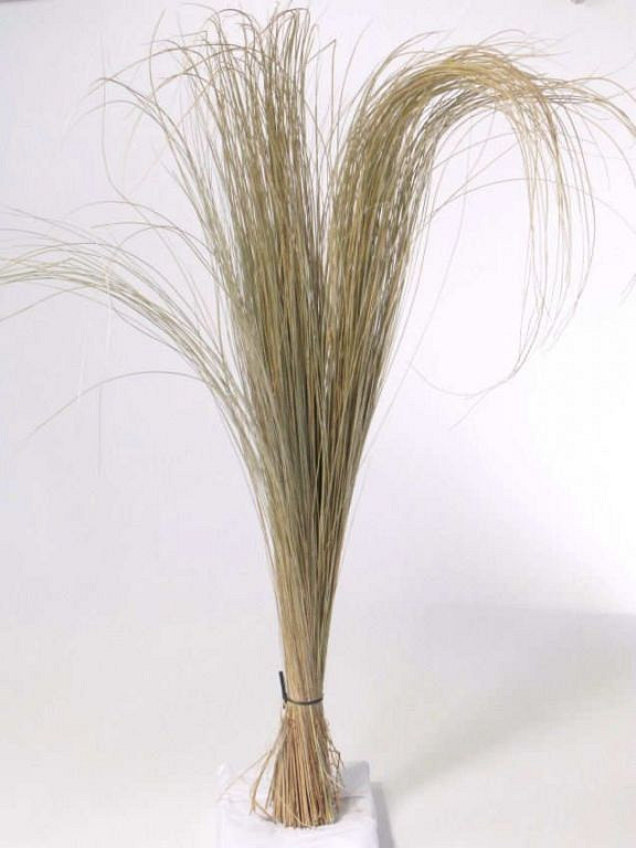Helmgras 140cm