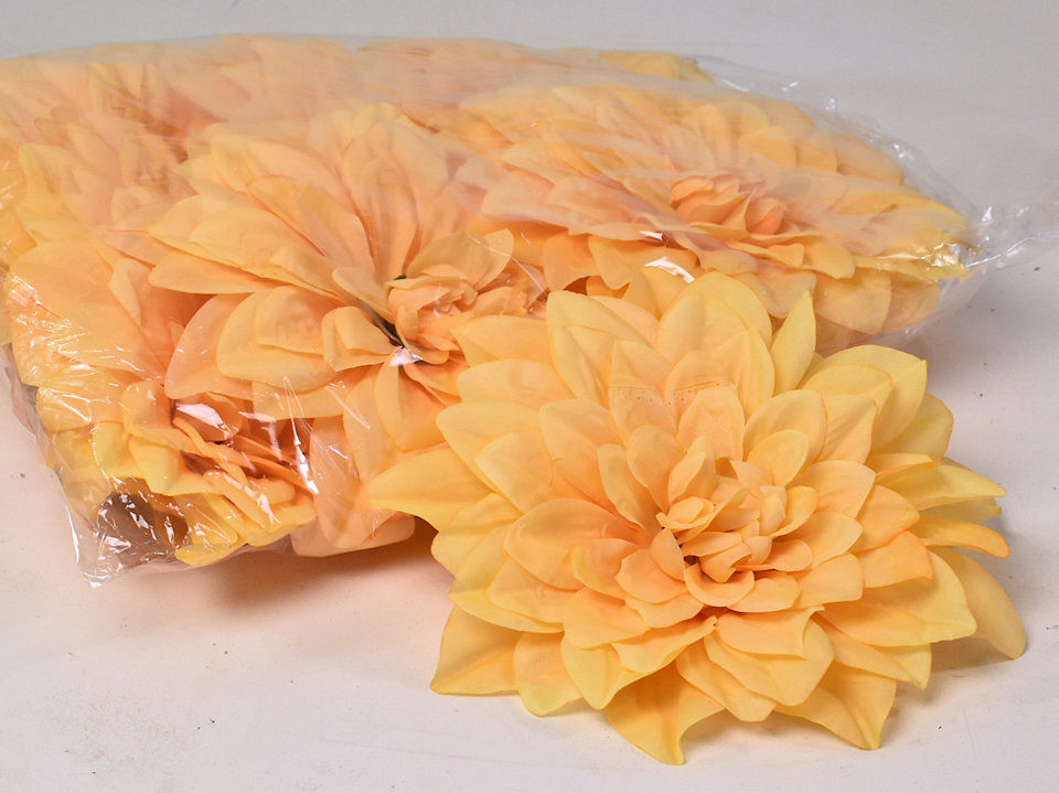 Dahlia Perzik D20cm