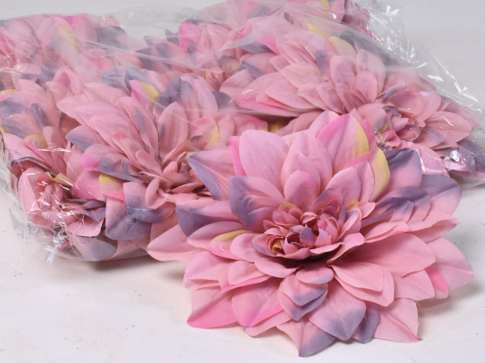 Dahlien Mauve D20cm