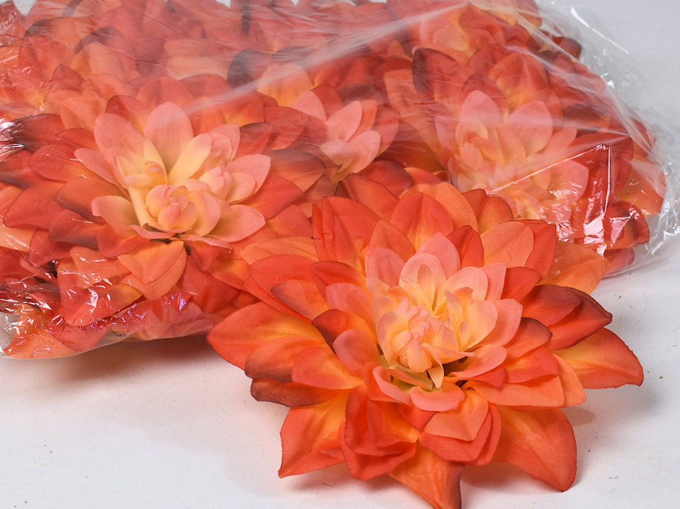Dahlien Orange D20cm 