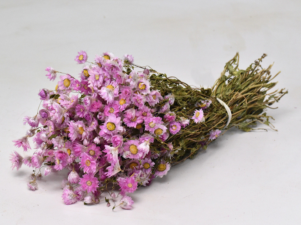 Bouquet Rhodante Rose 30cm