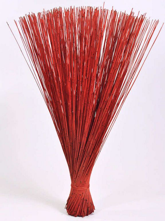 Reed Cane Red 75cm