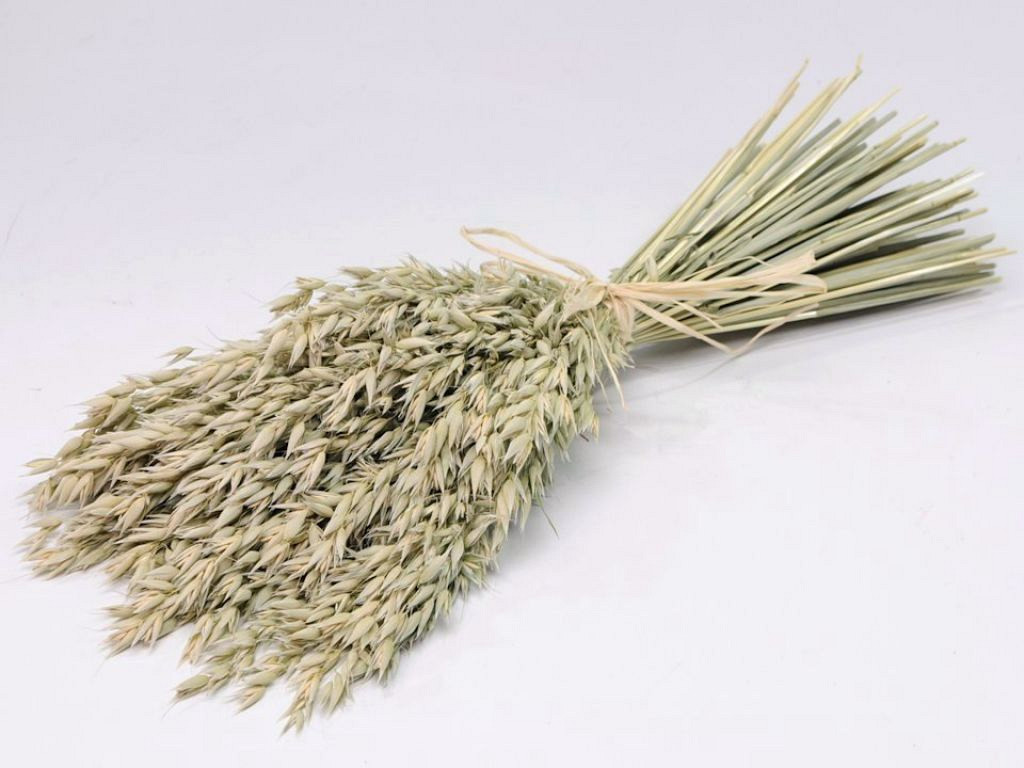 Dried Bouquet Oats 45cm Flat