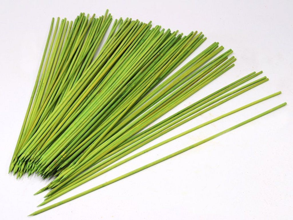 Bambou Tige 60cm vert citron