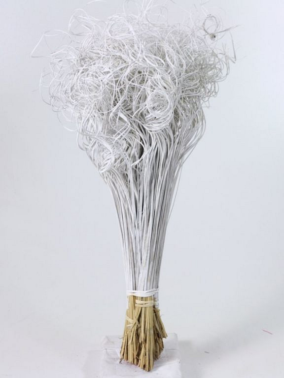 Curly Ting weiss 300 Stielen