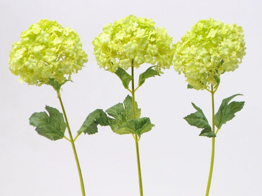 Viburnum 38cm grÃ¼n
