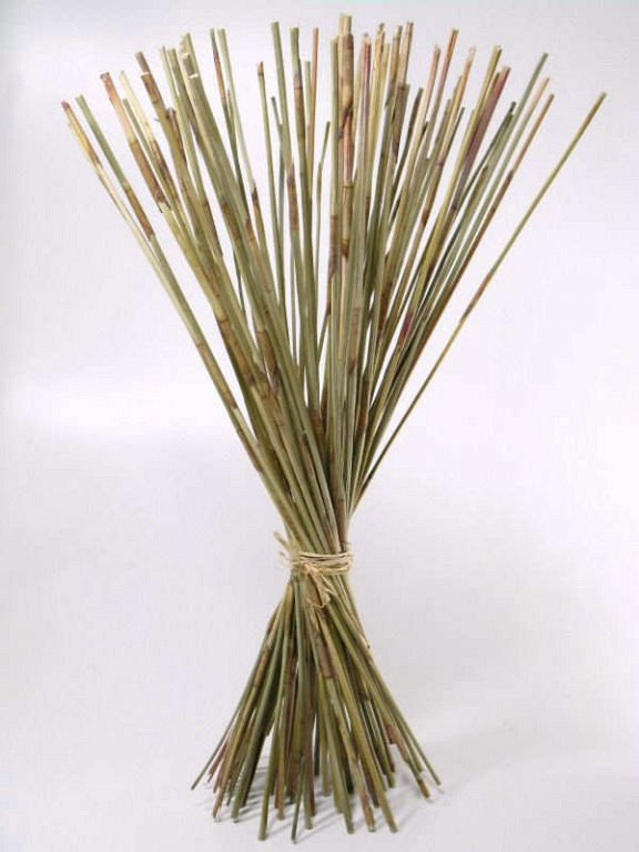 Olifant Riet 75cm 500gr.