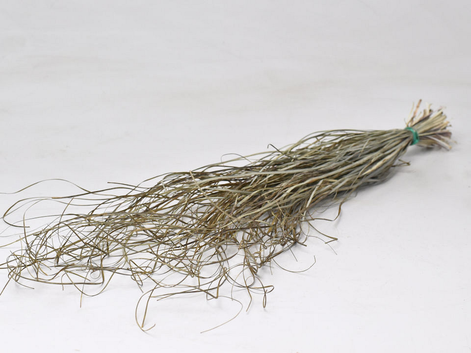 Herbe d'Ours70cm, +/-75gr.