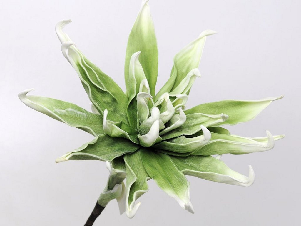 Blume Schaumstoff Weiß/Grün, D 35cm