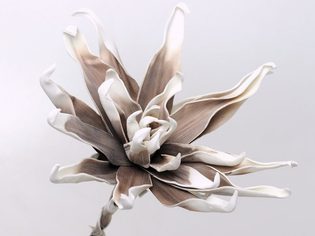 Blume Schaumstoff Weiß/Mocca, D 35cm