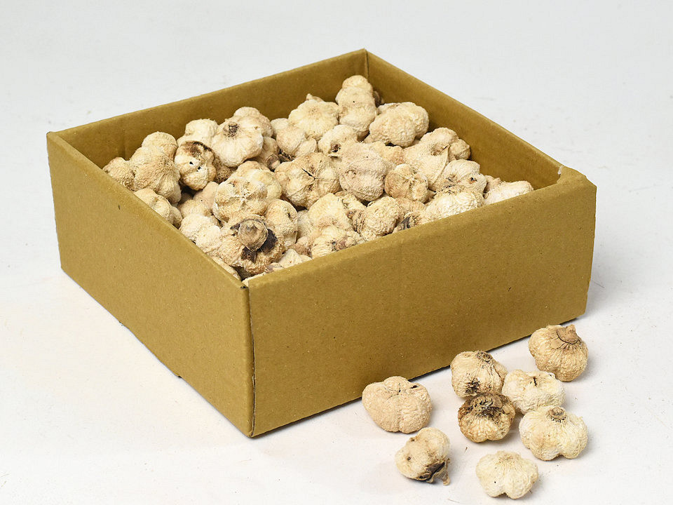Beach Fruit 450gr. 2nd Quality