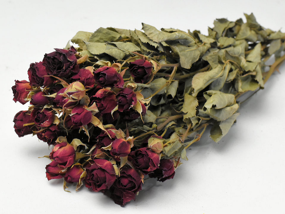 Trosroos Bordeaux 50cm