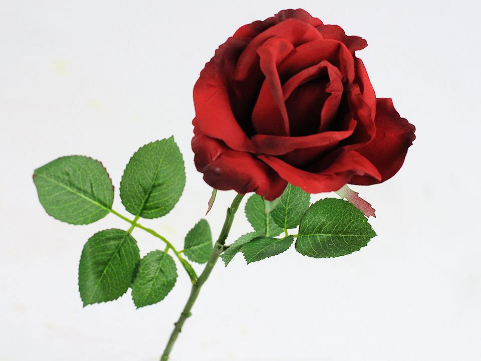 Rose 37cm Rouge