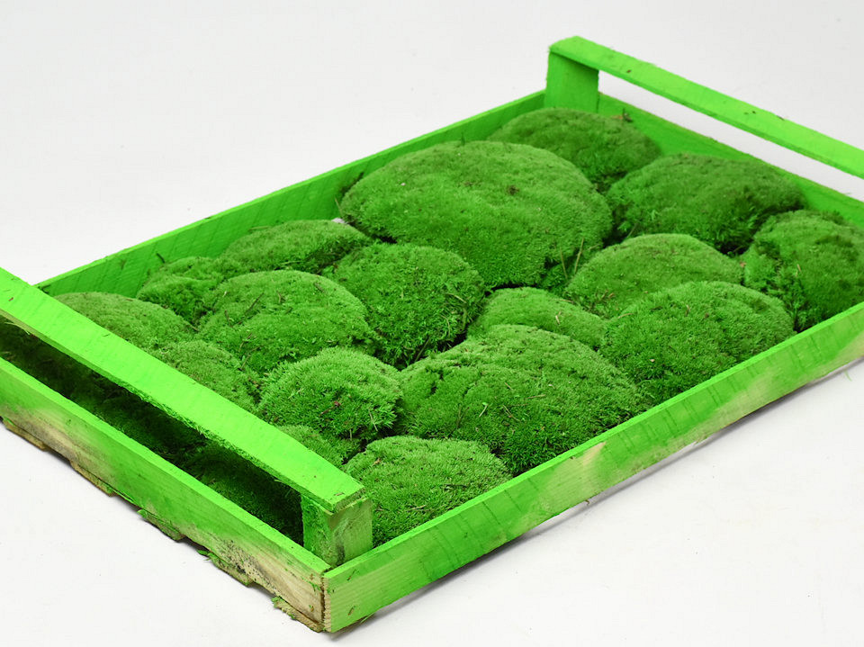 Cushion Moss light Green (Crate 38x58cm)