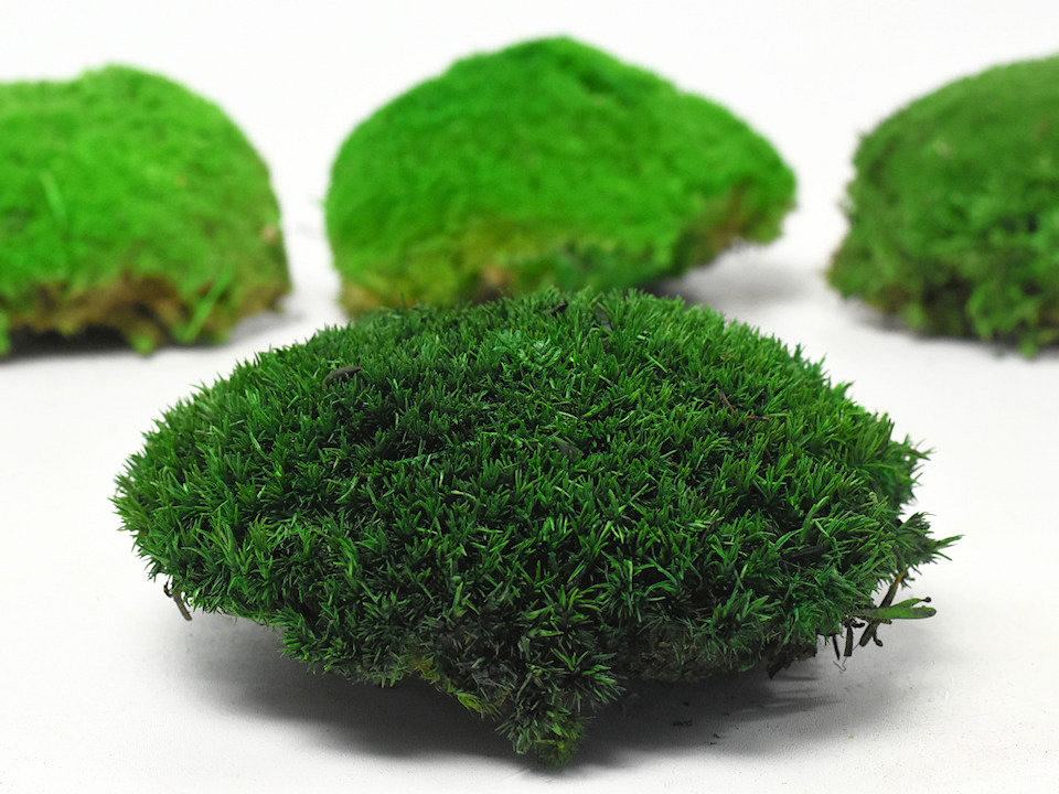 Cushion Moss Dark Green Sample