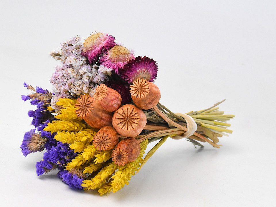 Bouquet de Fleurs Séchées Coloré 25cm