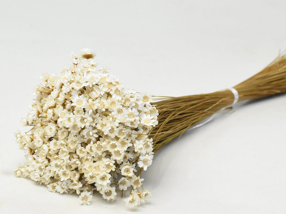 Bouquet Glixia (50gr) Naturel 45cm
