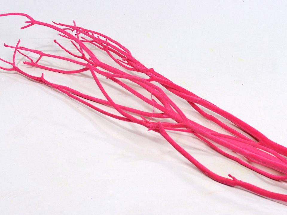Mitsumata 115cm Rose