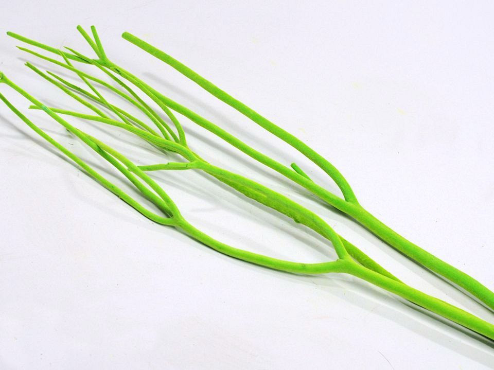 Mitsumata 115cm Groen