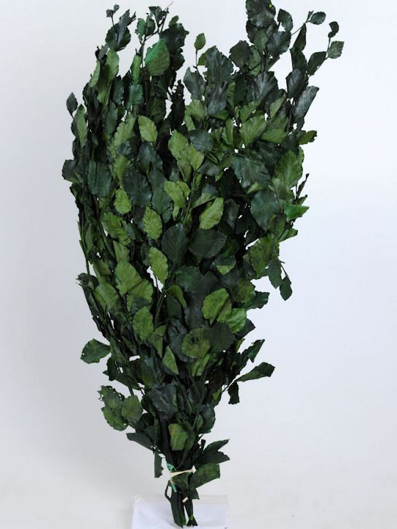Buchenblatt Grün 1kg