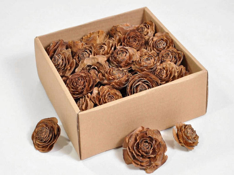 Roses de cèdre 50pcs