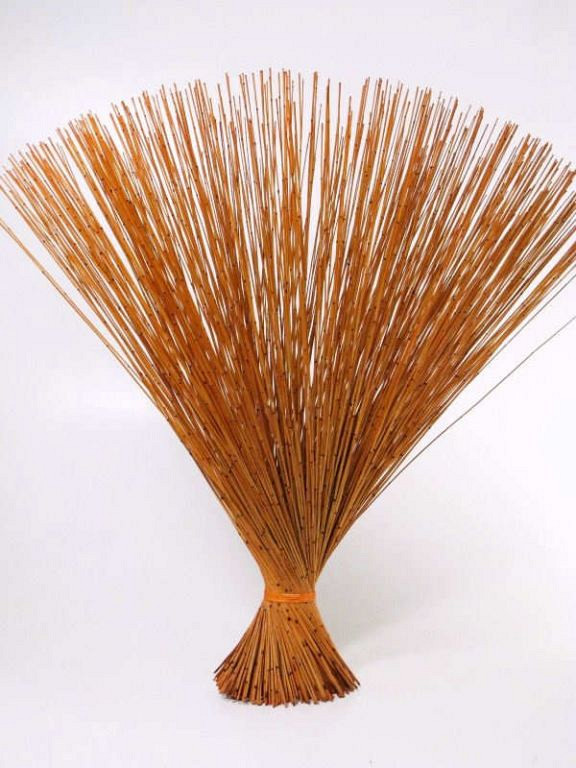 Reed Cane Orange 75cm
