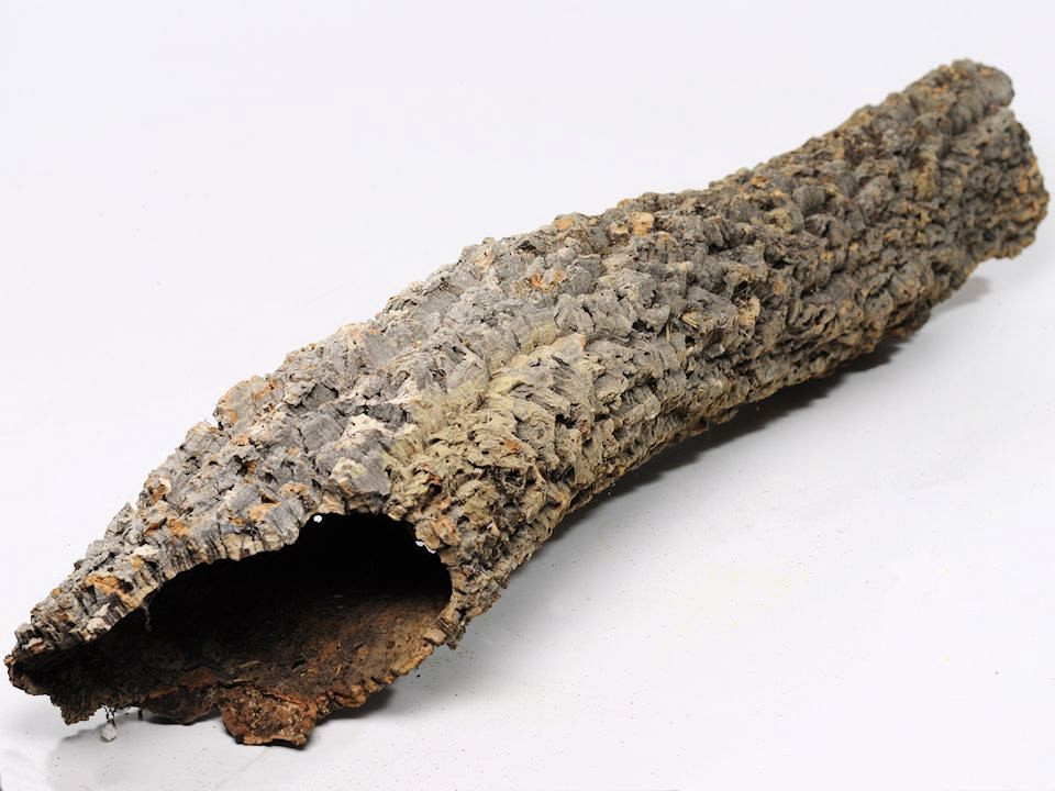 Cork Tube Large 70-90cm
