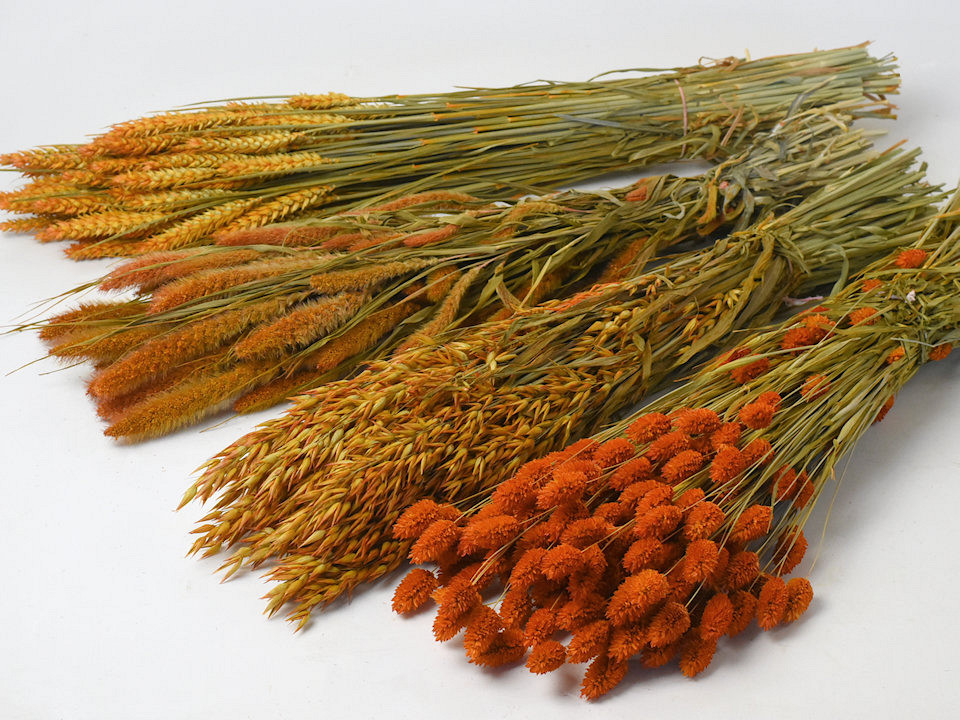 DIY Bouquet de Fleurs Sechées Orange Mix