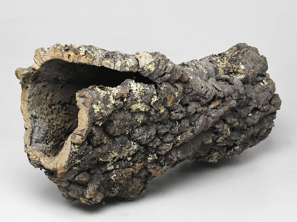 Cork Tube XL L40-50cm