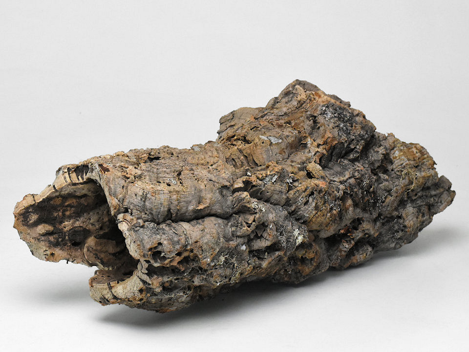 Cork Tube XL L50-70cm