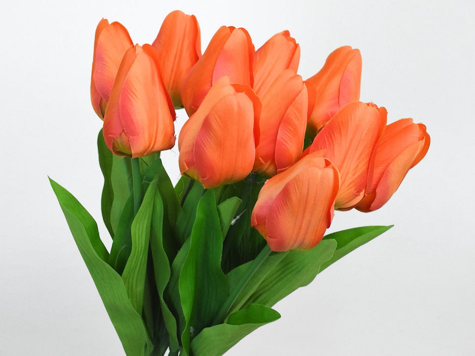 Tulp Oranje 60cm