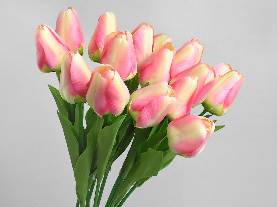 Tulp Rosa 60cm