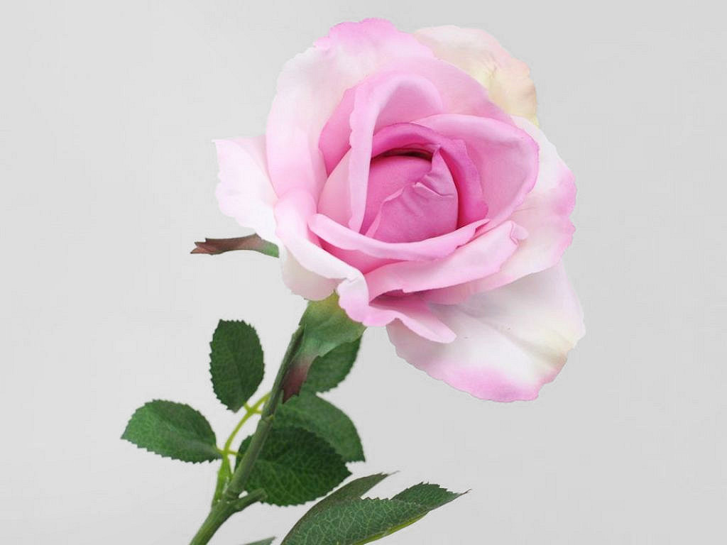 Künstliche Rose Rosa 37cm