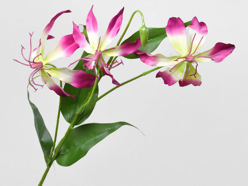 Kunst Gloriosa Roze 80cm