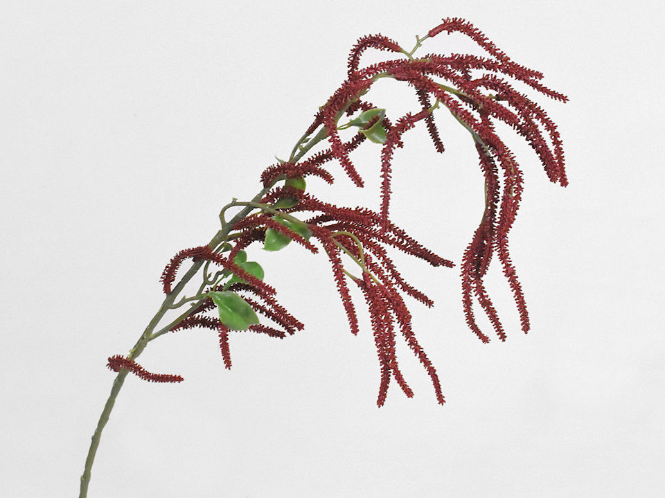 Kunst Hazelaar Burgundy 78cm
