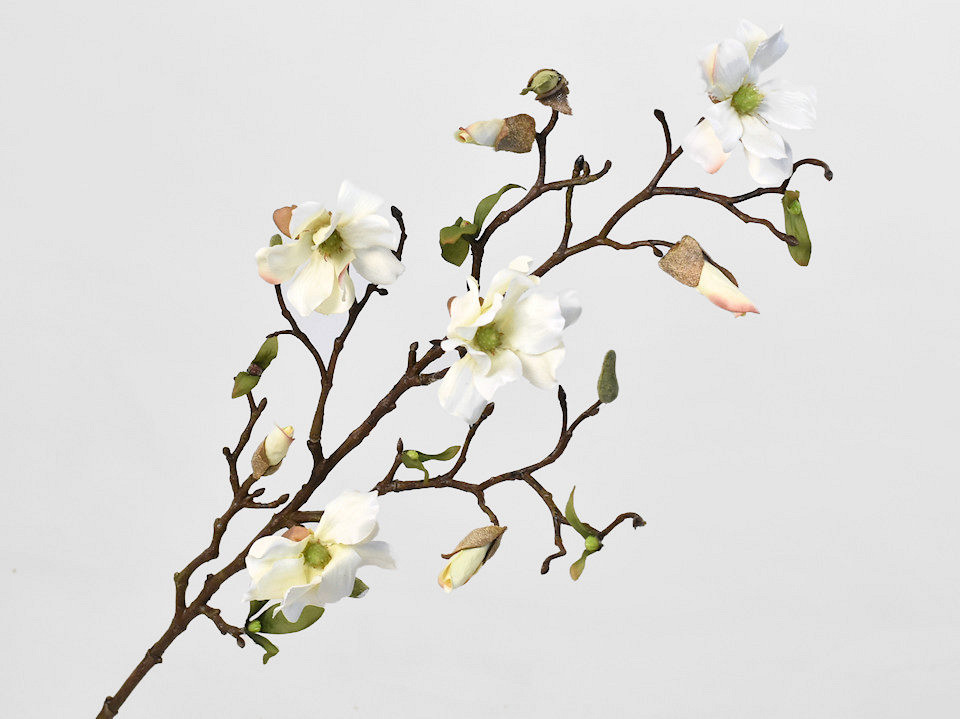 Künstliche Magnolien Zweig Weiß 78cm 