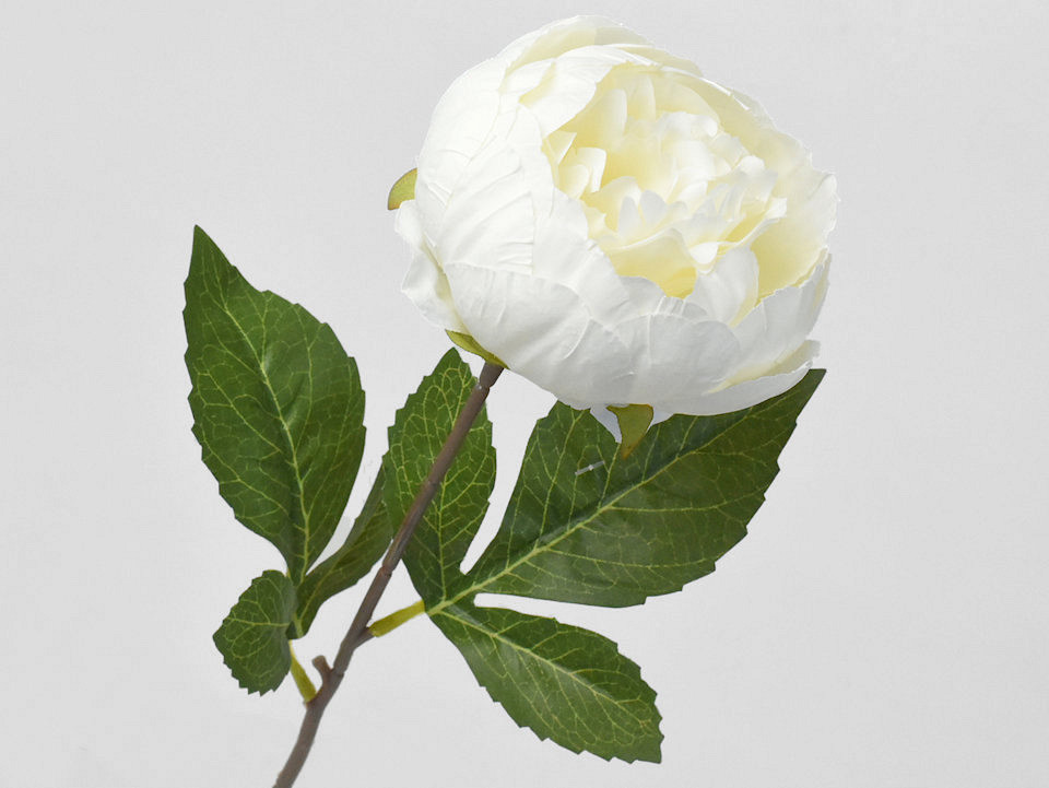Artificial Peony White 42cm 