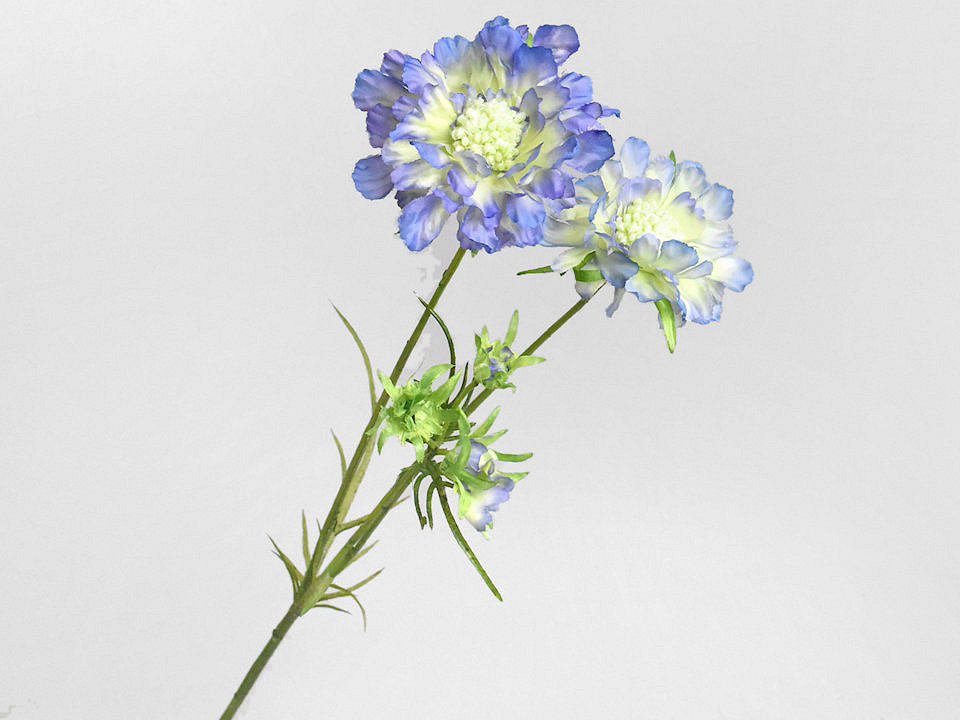 Kunst Scabiosa Blauw 84cm