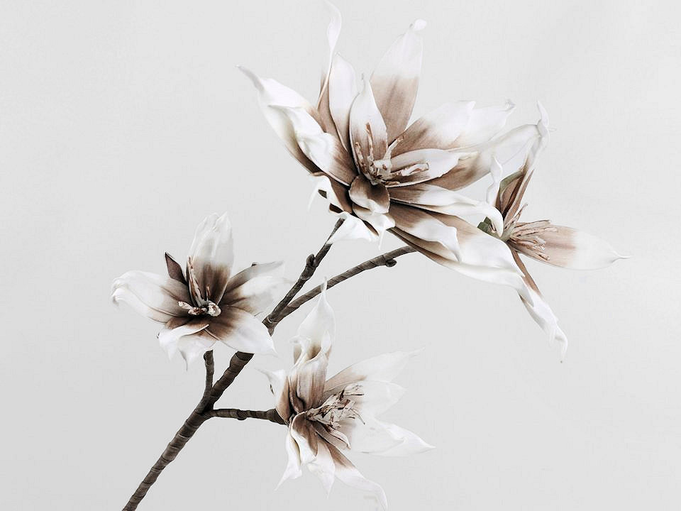 Fleurs en mousse 85 Blanc/Mocca 85cm
