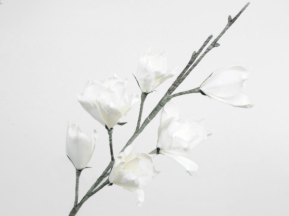 Schaumstoff Magnolia Weiß, D 18cm
