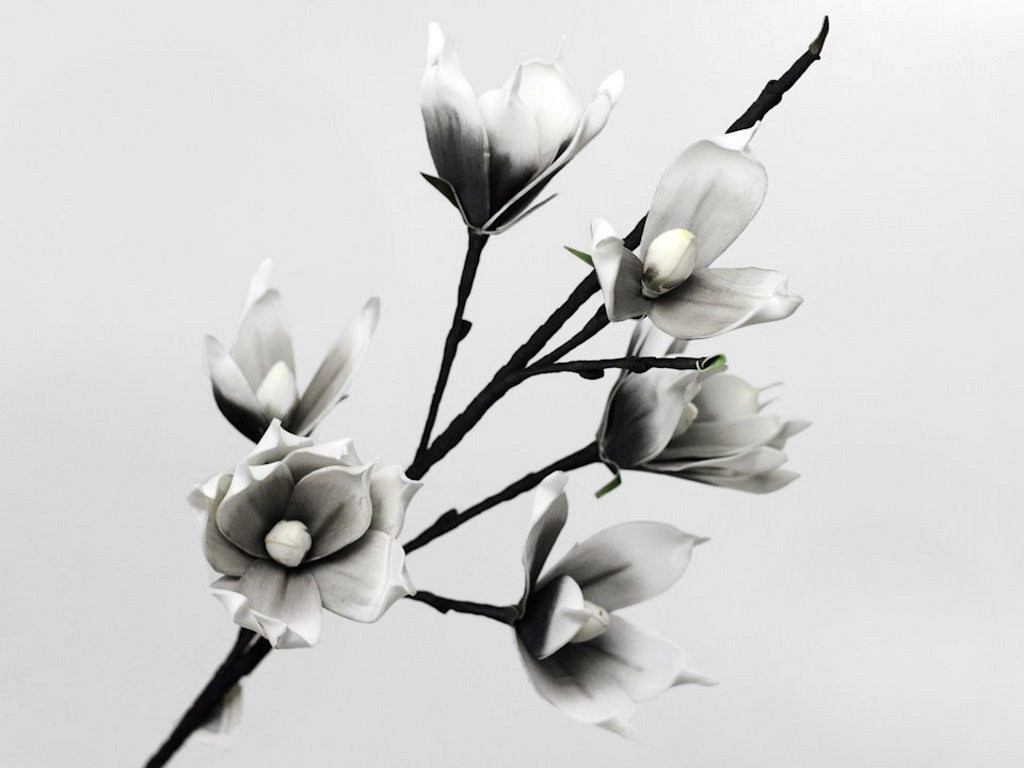 Schaumstoff Magnolia Weiß/Anthrazit, D 18cm