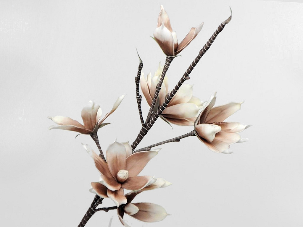 Magnolia en mousse Blanc/Mocca, D 18cm