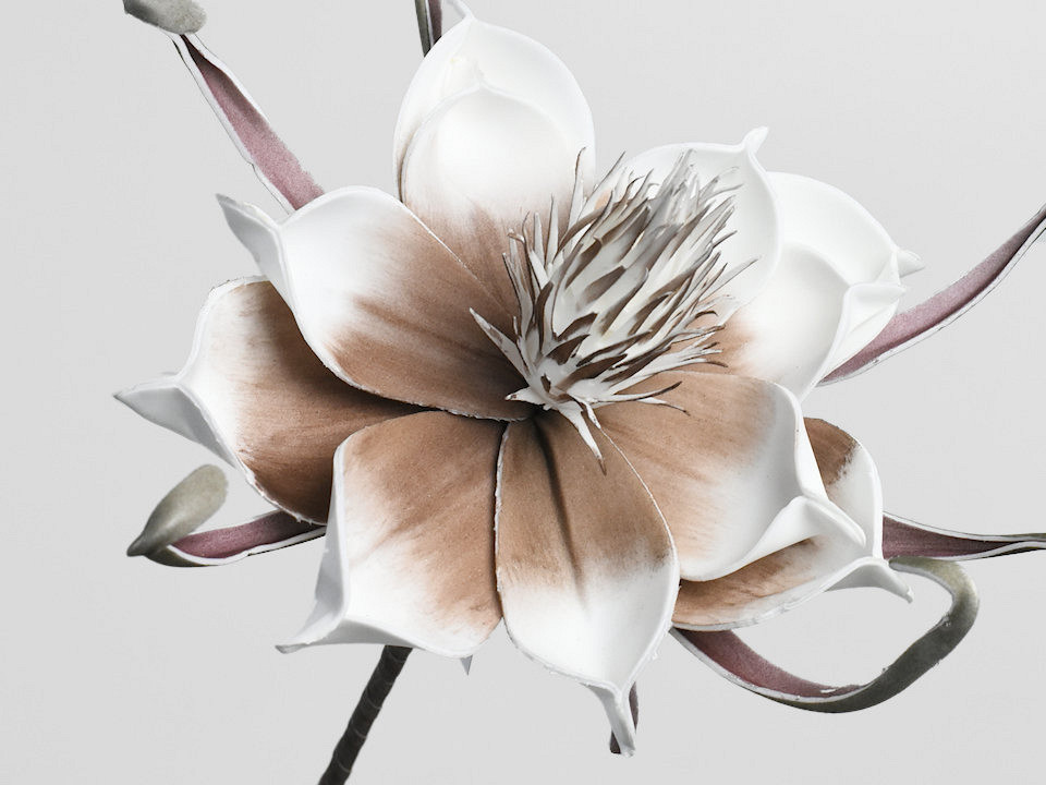 Foam Bloem Wit/Mocca, D 20cm