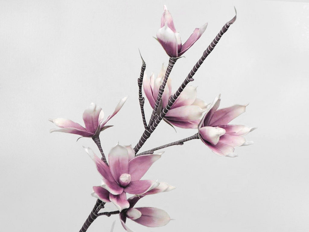 Schaumstoff Magnolia Weiß/Lila, D 18cm
